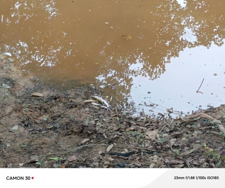 Pollution minière : le ministère de l’environnement confirme la pollution du fleuve Cavally par la mine d’Ity